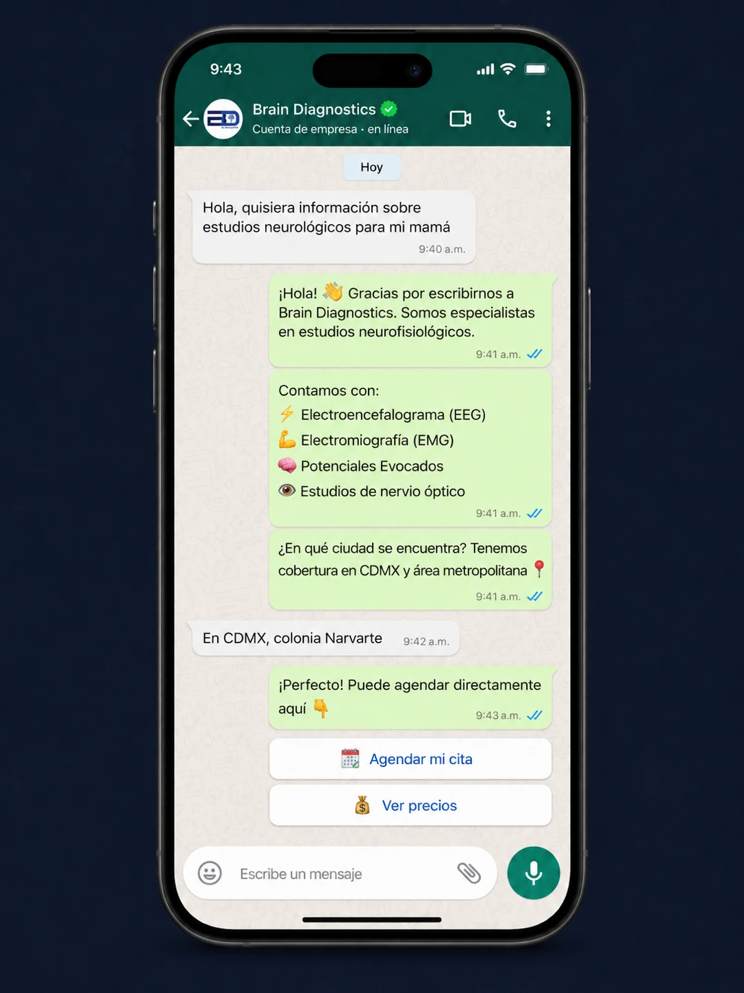 WhatsApp Business Brain Diagnostics